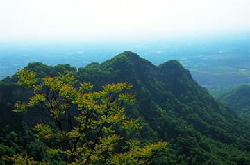 青城第一峰