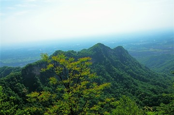 青城第一峰