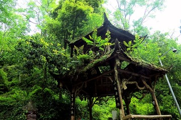 青城山 雨亭