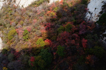 陕西渭南少华山秋景