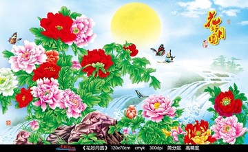 花好月圓 牡丹圖