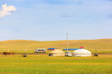 内蒙古呼伦贝尔草原夏天