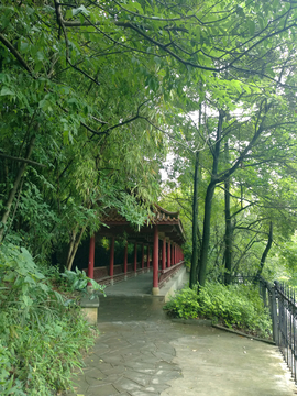 公园绿化风景 贵阳河滨公园