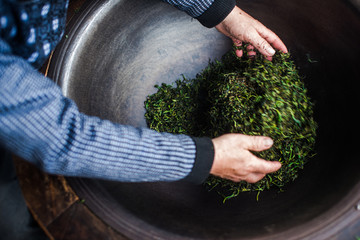 炒茶 制茶 制茶工艺