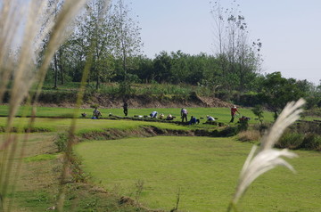 乡村美景