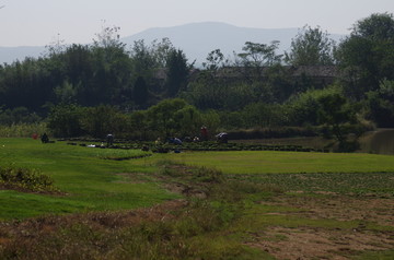 农民劳动场景