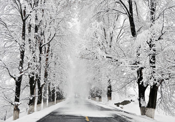 雪中公路