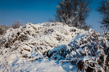 东北冬天雾凇树挂雪景45