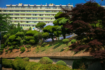 韩国首尔城市街头建筑园林景观