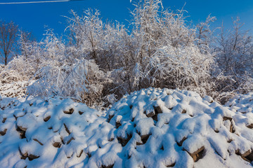 东北冬天雾凇树挂雪景93