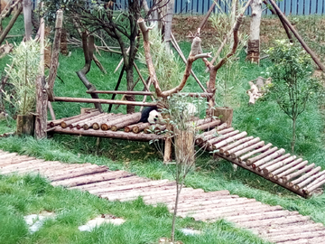 熊猫馆风景