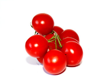 西红柿子
