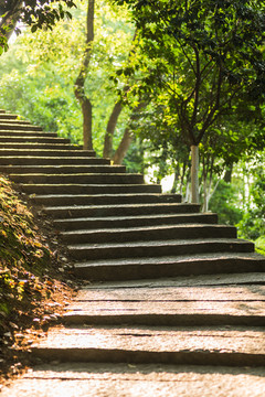 洒满阳光的山路