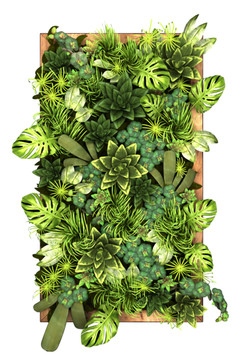 植物墻