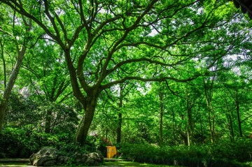 杭州飞来峰灵隐寺