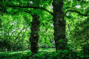 杭州飞来峰灵隐寺