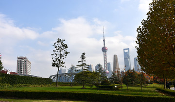 上海 路边风景