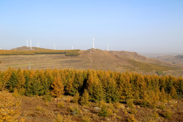 张家口市 草原天路 阎片山