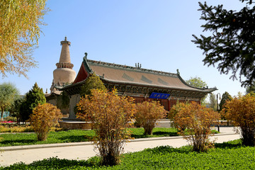 甘肃省 张掖市 大佛寺