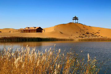 中卫市 沙坡头景区