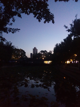 湖畔夜景 昆明翠湖公园