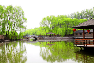 绿树成荫 碧水湾