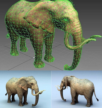 3DMAX模型写实大象