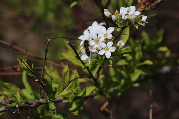 春暖花开