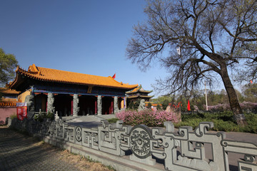 庙宇 宫殿
