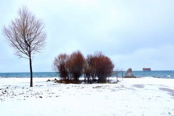 青海湖雪景