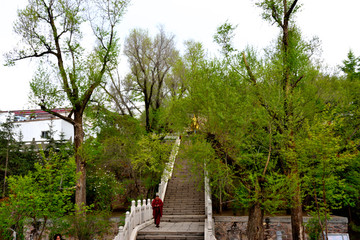 青海塔尔寺台阶