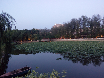 翠湖公园风景