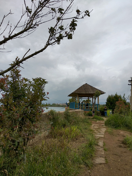 湿地公园风景