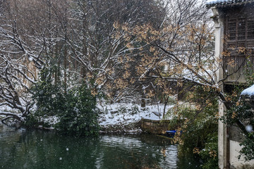 冬季下雪乌镇