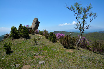 屹立高山顶