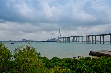 海湾大桥 掉索大桥