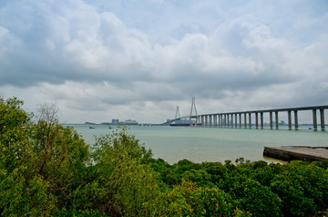 海湾大桥 掉索大