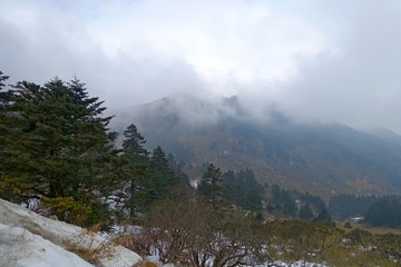 神农架 雪景