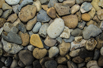 海边石头 鹅卵石