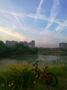 武汉东湖绿道骑行