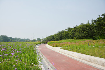 花田步道