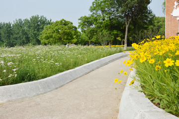 花间小道