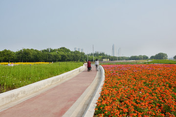 赏花景观小道