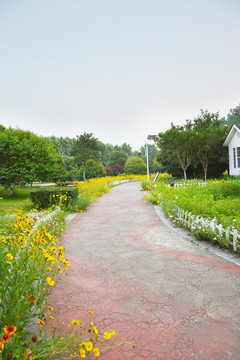 花间小路