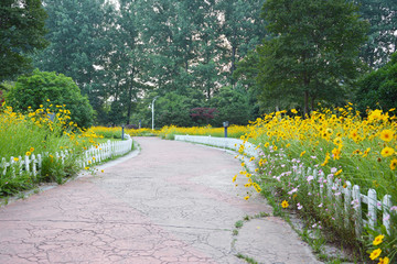 花园小路