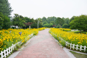 花田步道