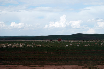 内蒙古西乌珠穆沁草原