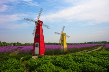 大埔乡村世界 芜湖