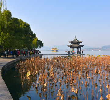 西湖集贤亭 西湖风景 秋色