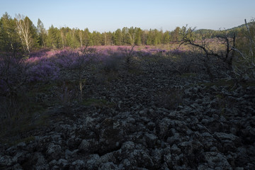 火山岩